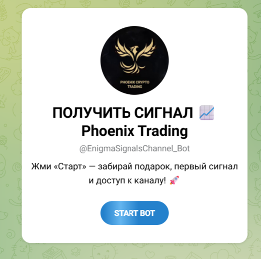 enigmasignalschannel bot enigmasignalschannel bot