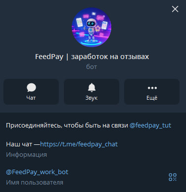 feedpay заработок на отзывах feedpay заработок на отзывах