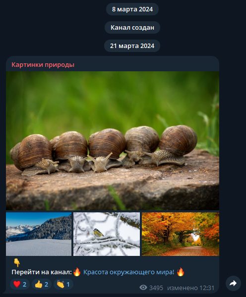 гаджет лавка отзывы гаджет лавка отзывы