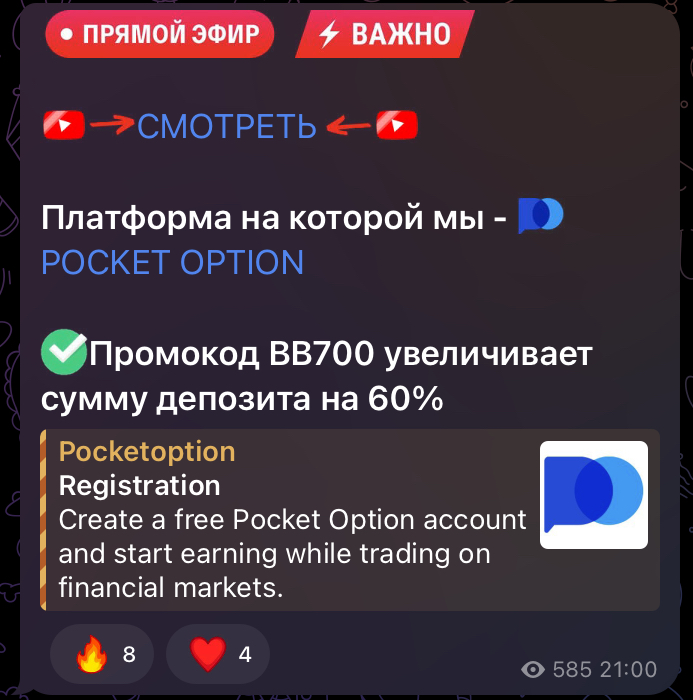 миша барсов трейдер миша барсов трейдер