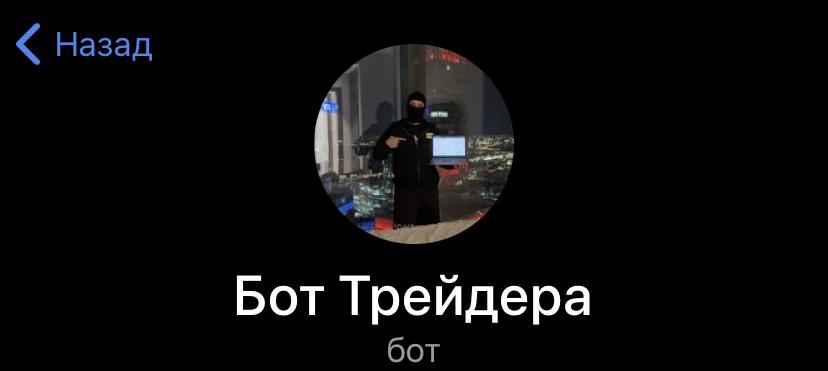 Pavlov Team Pavlov Team