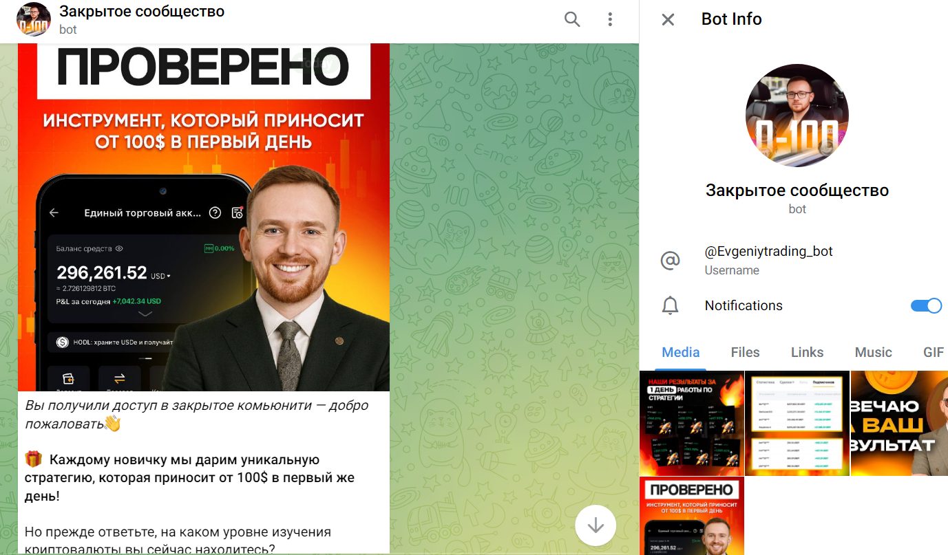 rost 0 100 novogodniy start rost 0 100 novogodniy start