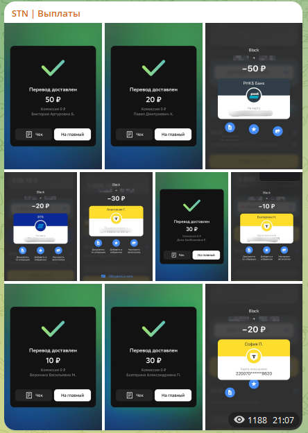 stnhelp bot t me stnhelp bot t me