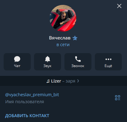 vyacheslav premium bit vyacheslav premium bit