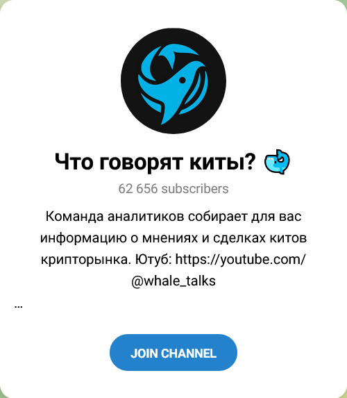 whale talks whale talks