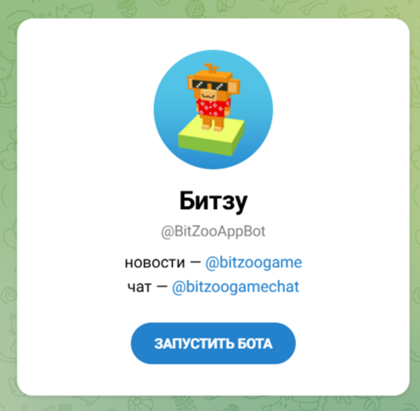 bitzoo викторина bitzoo викторина