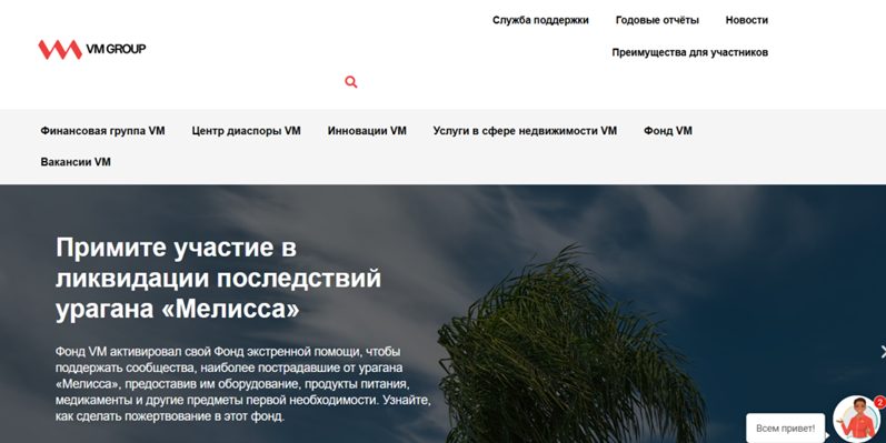 vm wealth funds vm wealth funds