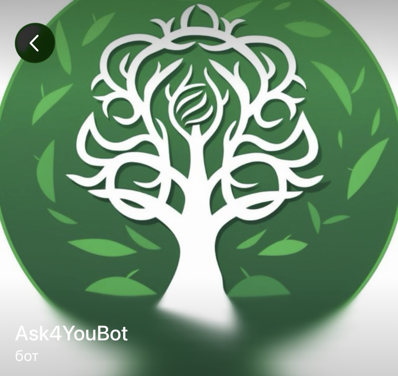 ask4youbot отзывы ask4youbot отзывы
