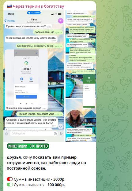 через тернии к богатству тг канал через тернии к богатству тг канал