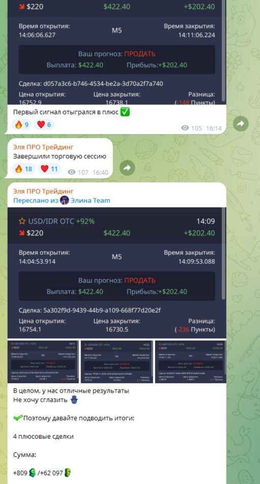 эля про трейдинг отзывы эля про трейдинг отзывы