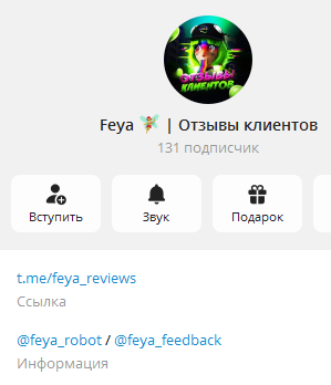 feya robot feya robot