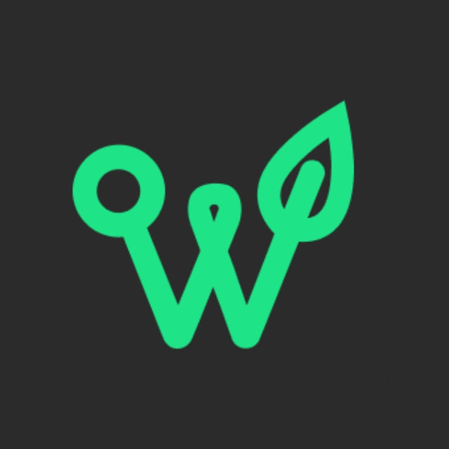 single-best-services-img