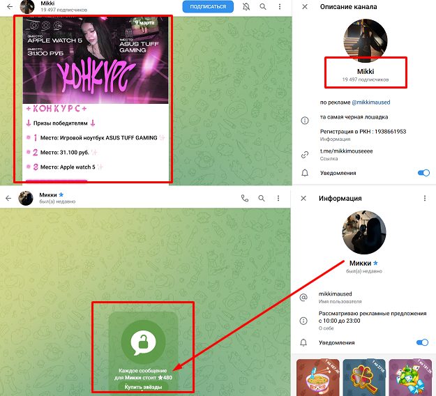 belleshine тг канал belleshine тг канал