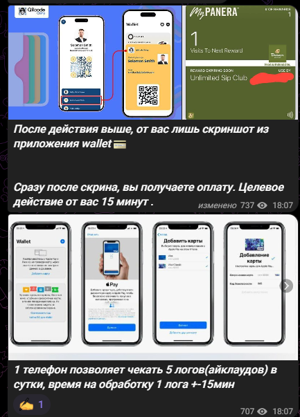 BSG Finance BSG Finance