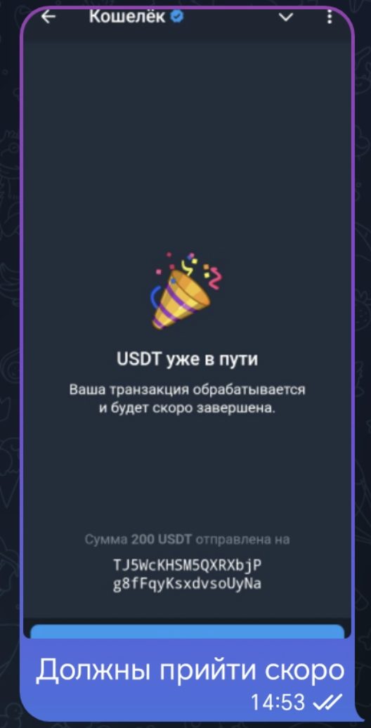 alexandr kartin мошенник alexandr kartin мошенник