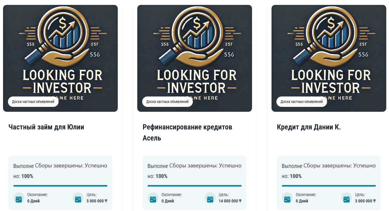 birgefinance birgefinance