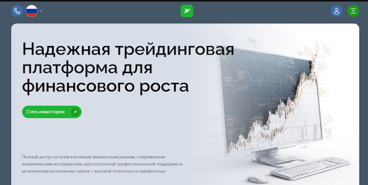 vector layer отзывы vector layer отзывы