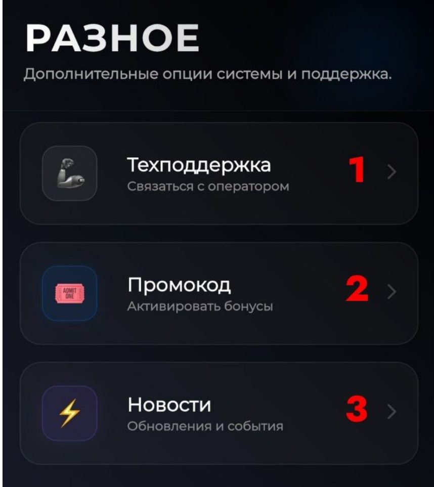 anyverse игра anyverse игра
