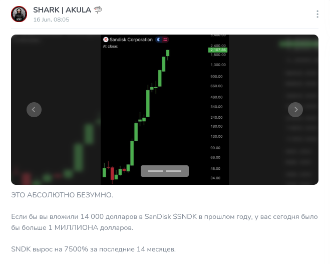 CryptoSharkMarathonBot CryptoSharkMarathonBot