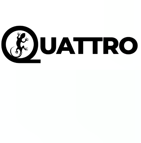logo-image