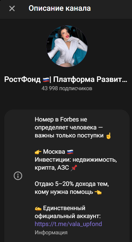 РостФонд Платформа Развития РостФонд Платформа Развития