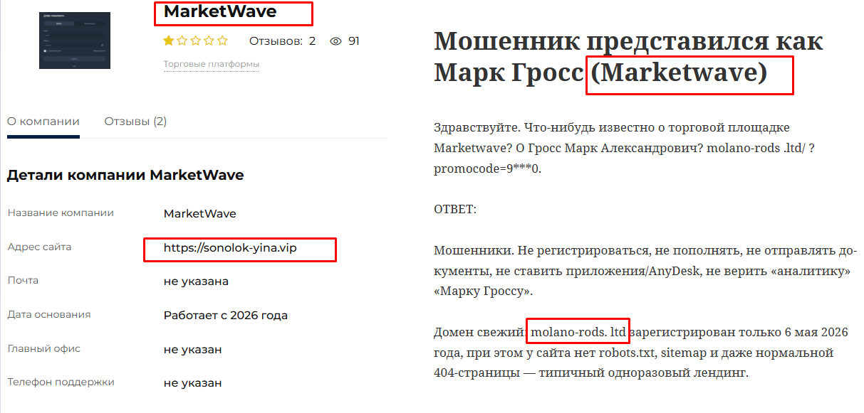 market wave market wave