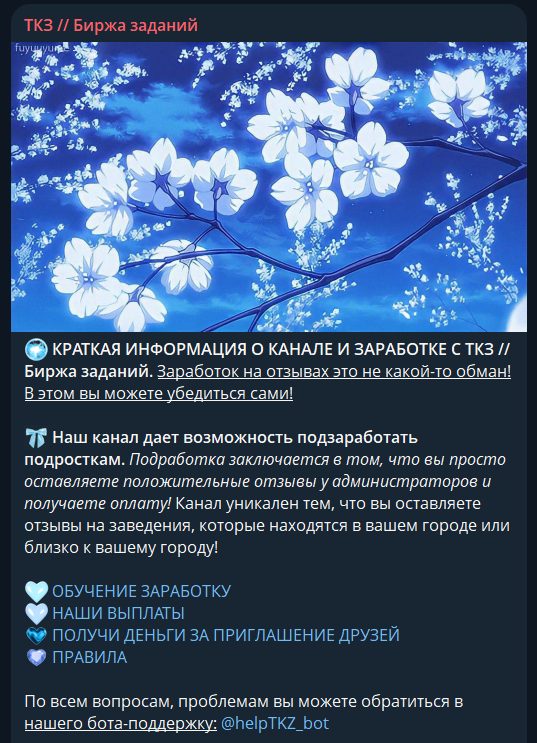 ткз биржа заданий отзывы ткз биржа заданий отзывы