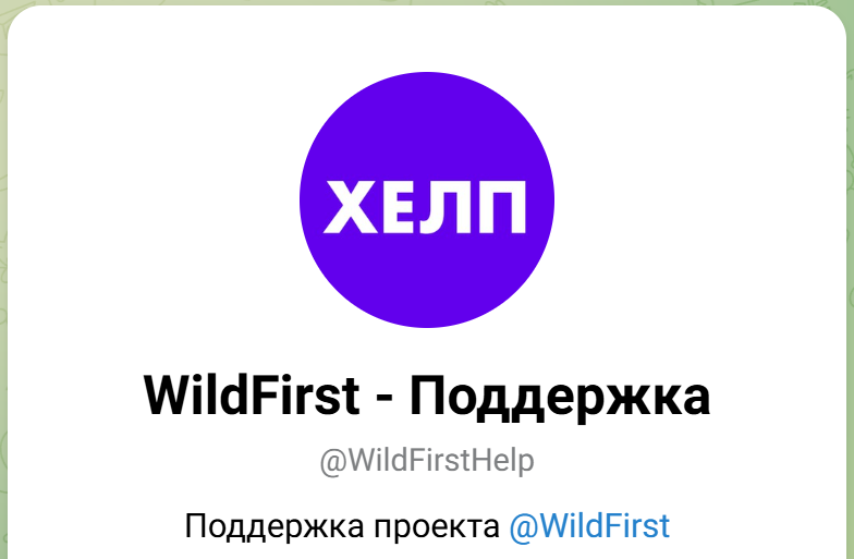 вайлд ферст вайлд ферст