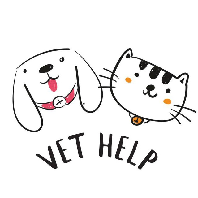 logo-image