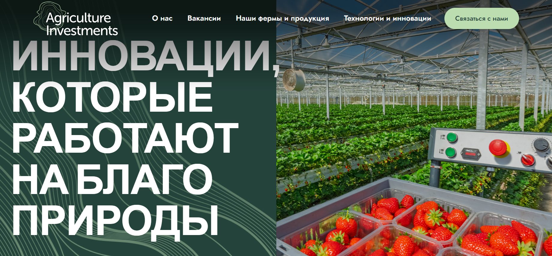 berry farming ltd ферма отзывы berry farming ltd ферма отзывы