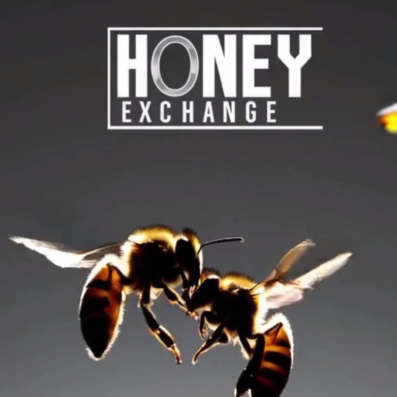 logo-image
