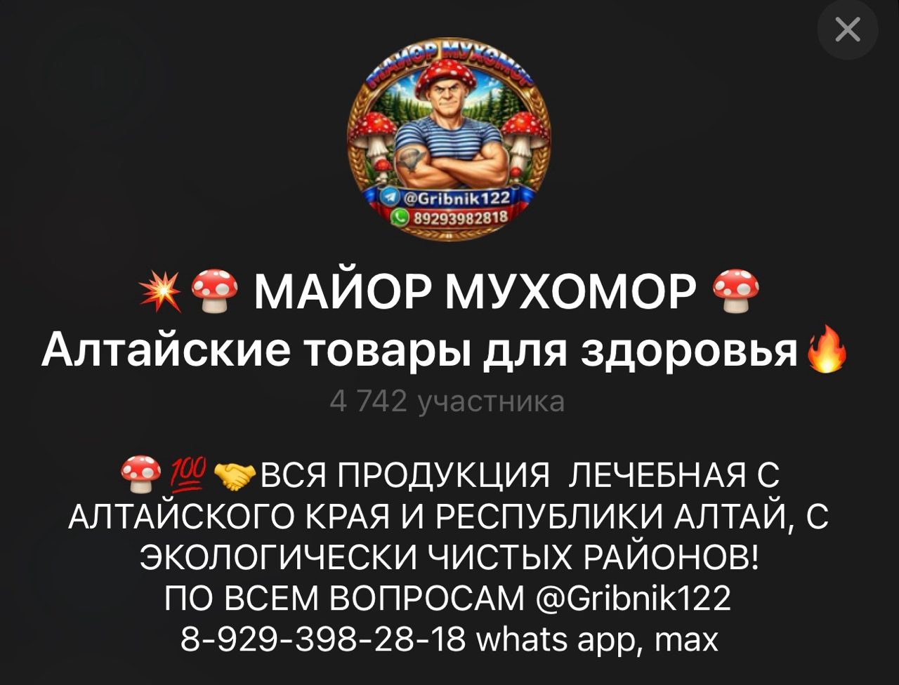 майор мухомор telegram отзывы майор мухомор telegram отзывы