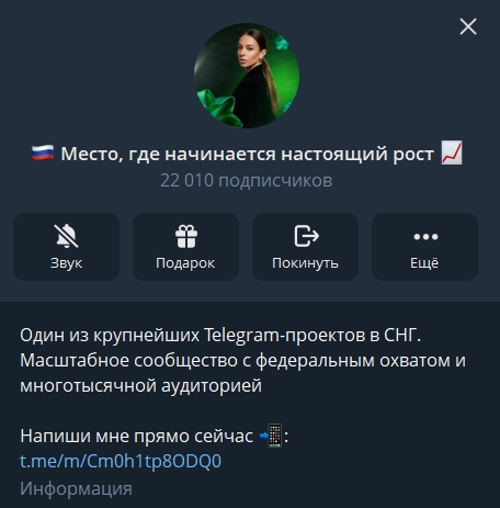 мошенническая компания или нет profiradbot bot мошенническая компания или нет profiradbot bot