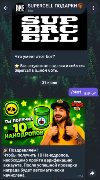 подарки в суперселл тг бот подарки в суперселл тг бот