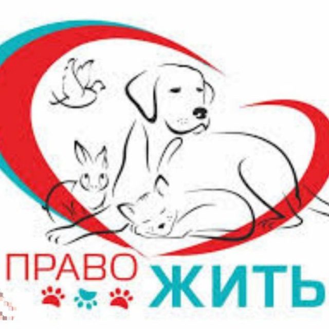 single-best-services-img