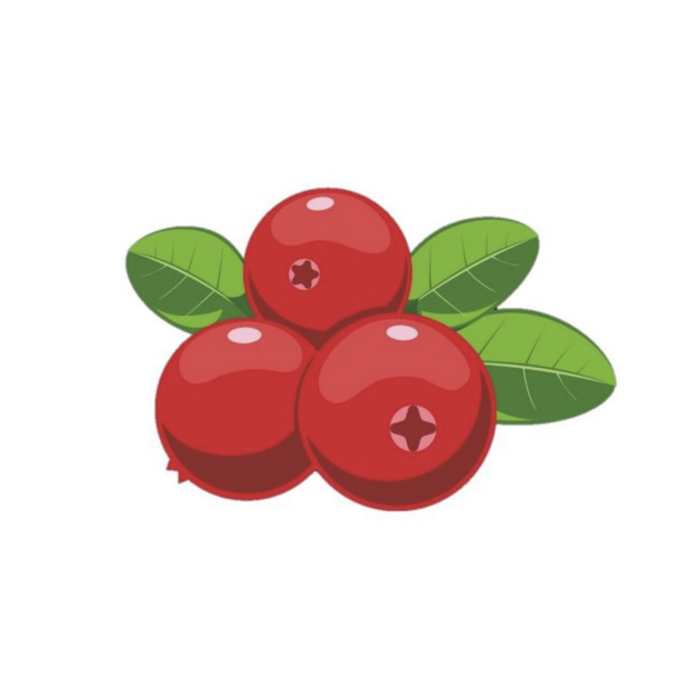 logo-image