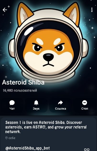 Asteroid Shiba Asteroid Shiba