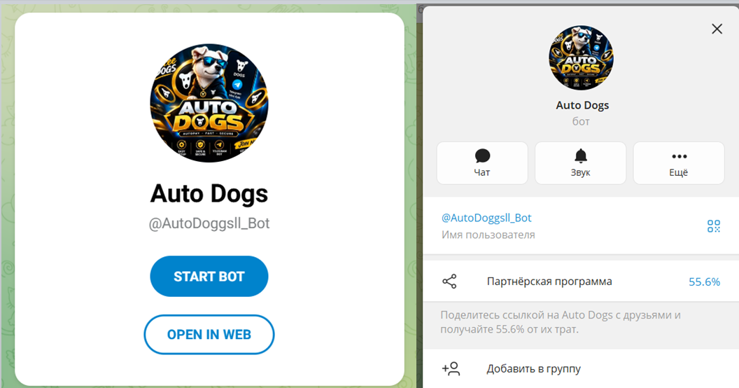 auto dogs auto dogs