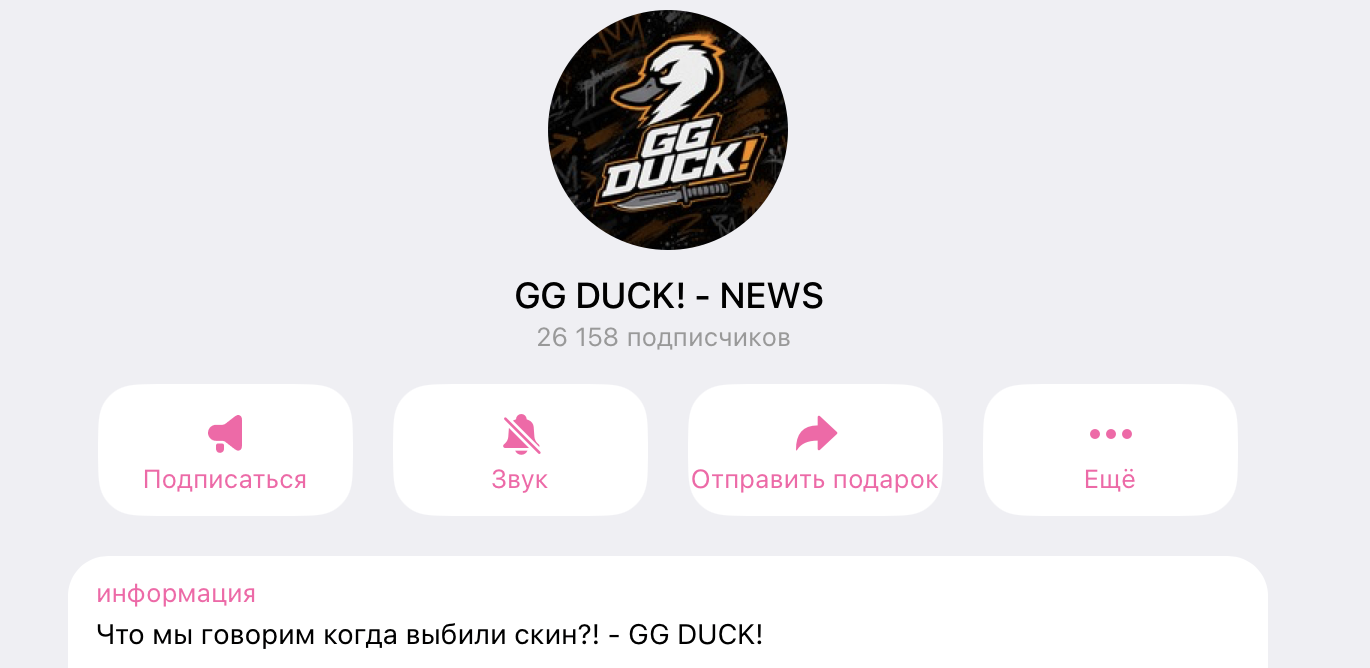gg_duckbot gg_duckbot