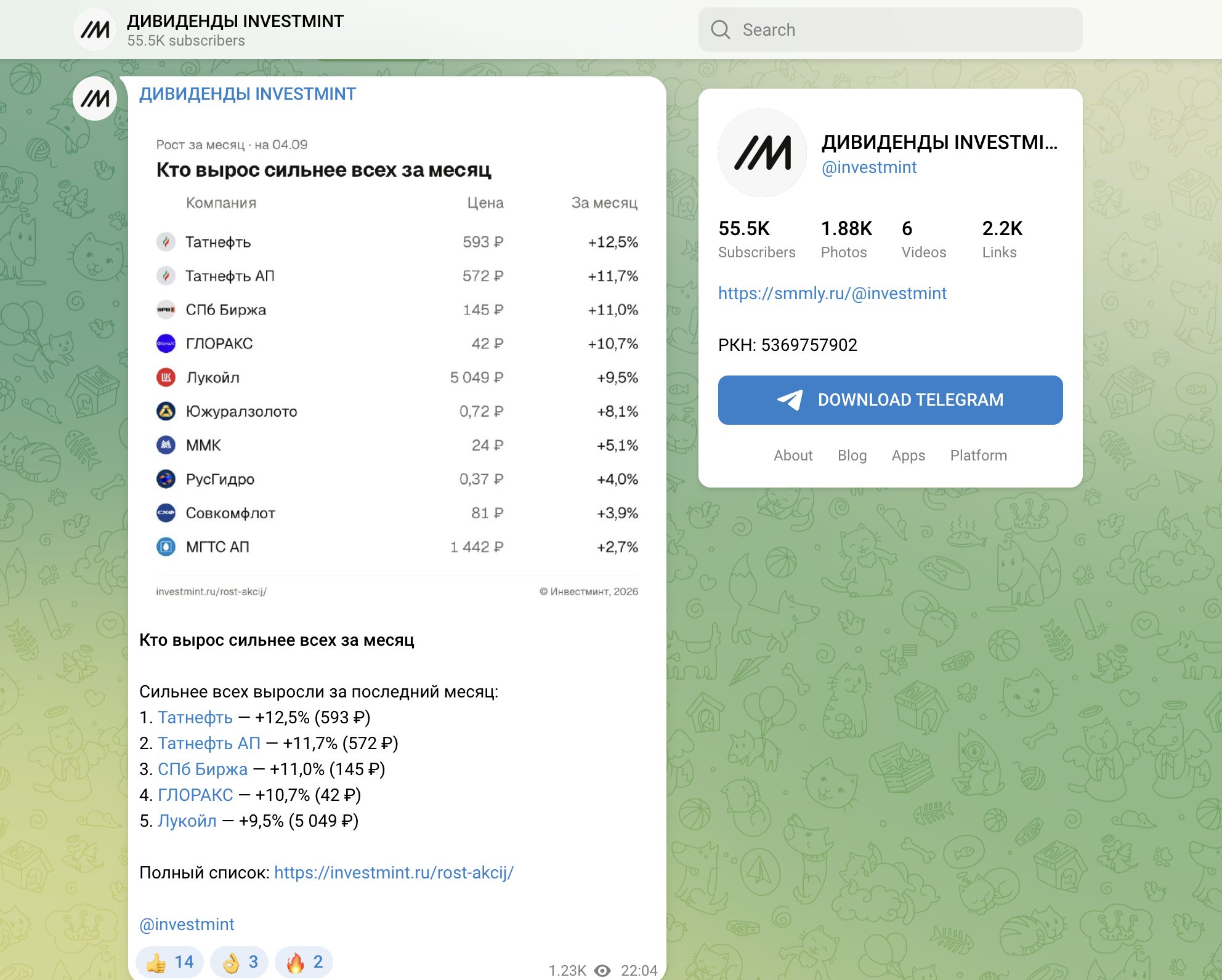 investmint ru investmint ru