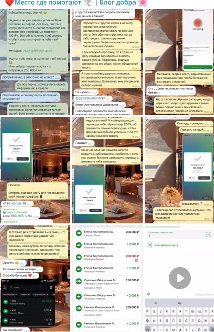 место где помогают блог добра телеграм место где помогают блог добра телеграм