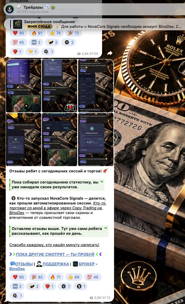 nova core signals отзывы nova core signals отзывы