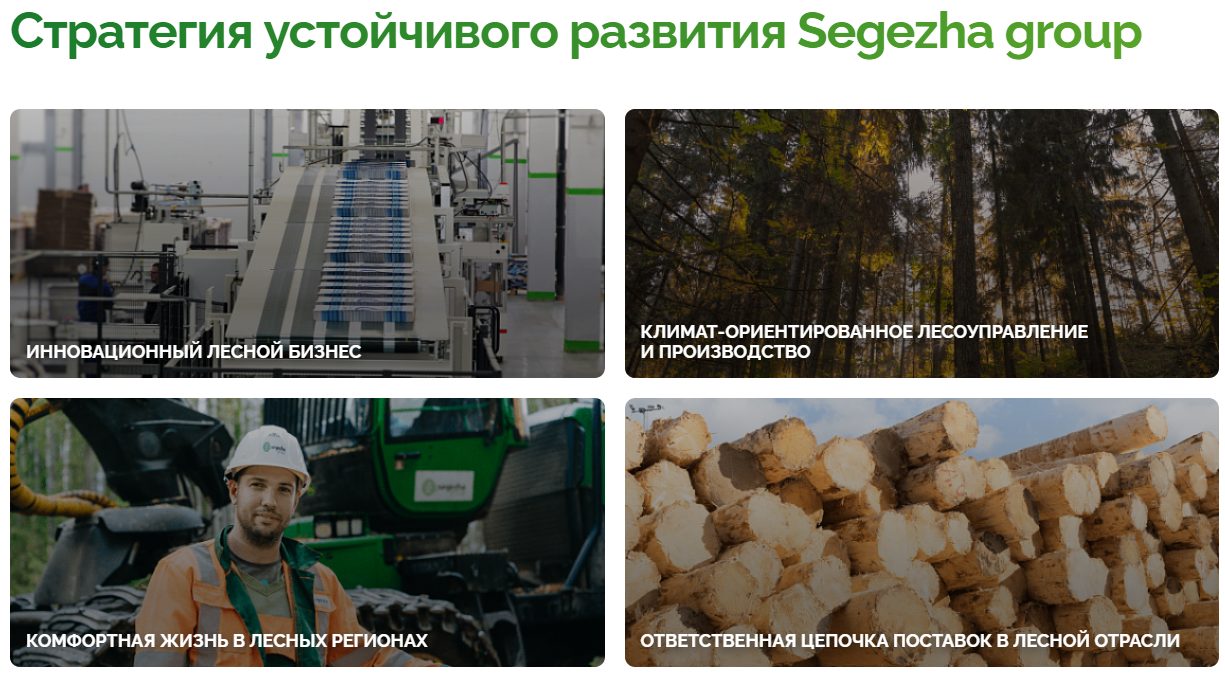ооо сегежа групп ооо сегежа групп