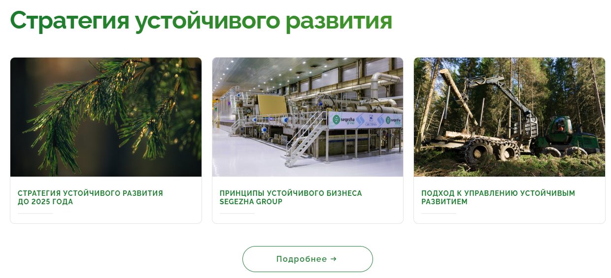 segezha group com segezha group com