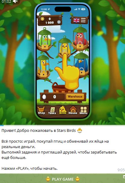 Stars Birds Stars Birds