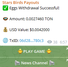 Stars Birds Stars Birds
