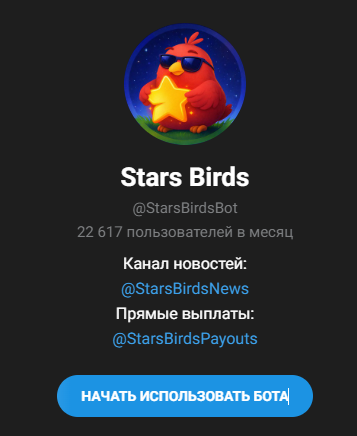 Stars Birds Stars Birds