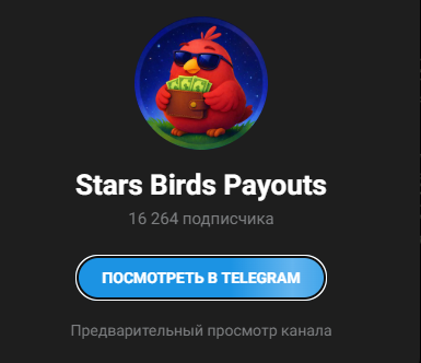 Stars Birds Stars Birds